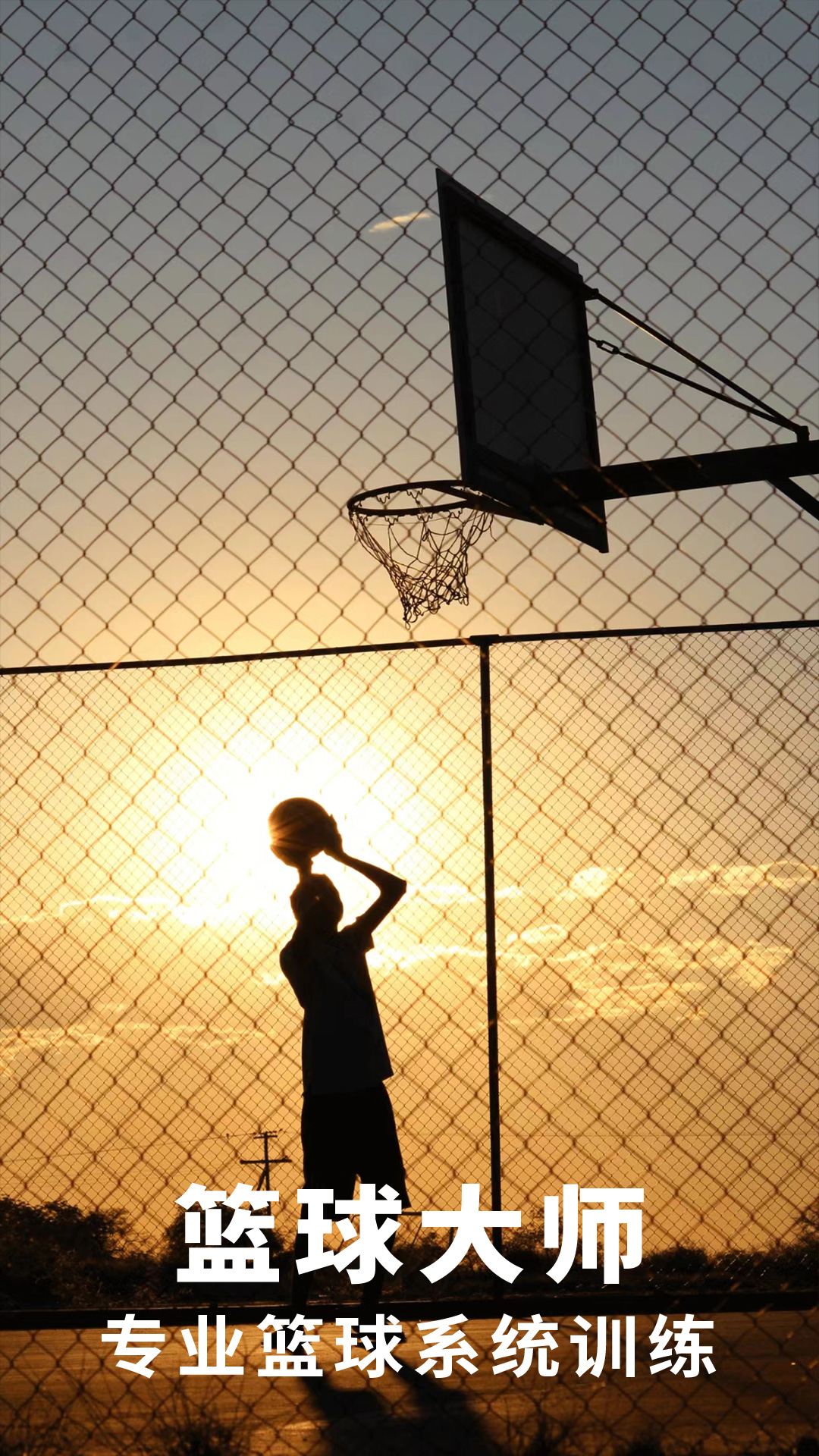 篮球大师截图
