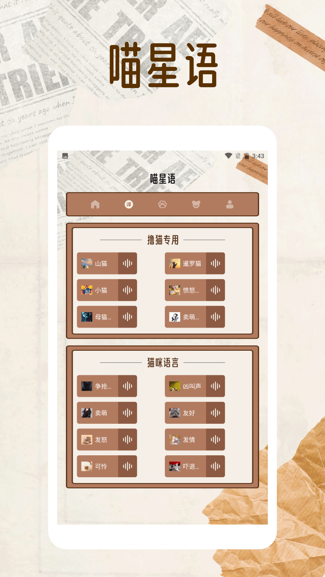 纸萌猫翻译乐园截图